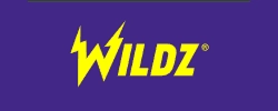 Wildzy